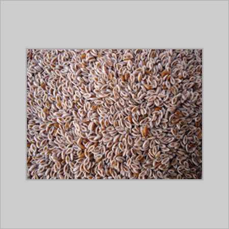 The medicinal properties of the seeds are largely due to the large amount of mucilage and albuminous matter present in them. The seeds are cooling and mildly laxative. They act as a diuretic and also have a soothing effect on the skin and mucous membranes.