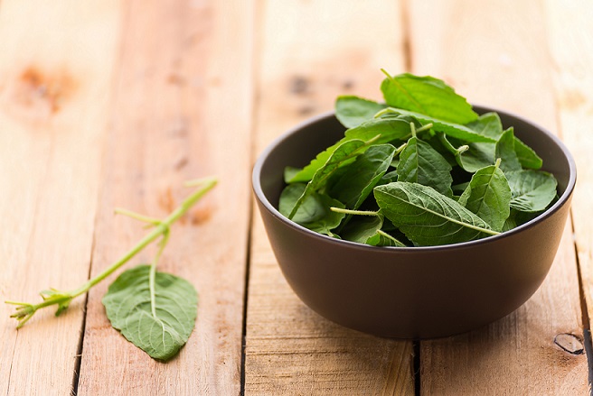 Holy Basil helps in respiratory disease