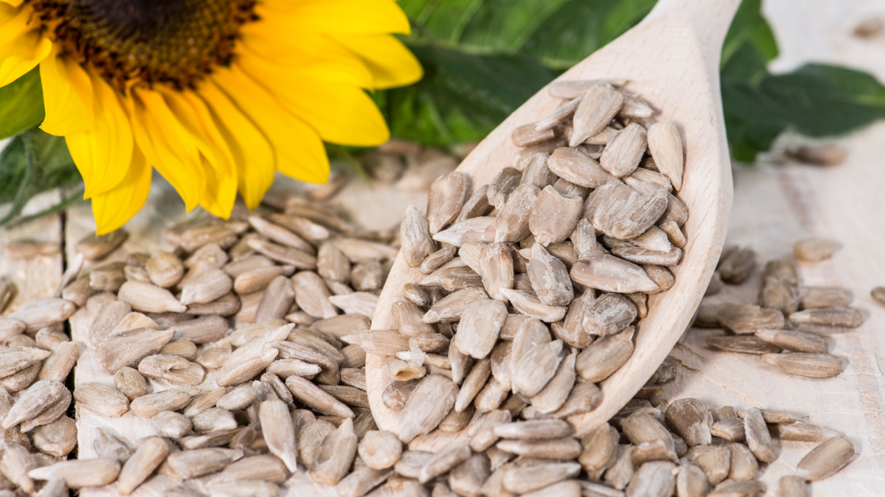 Sunflower Seeds